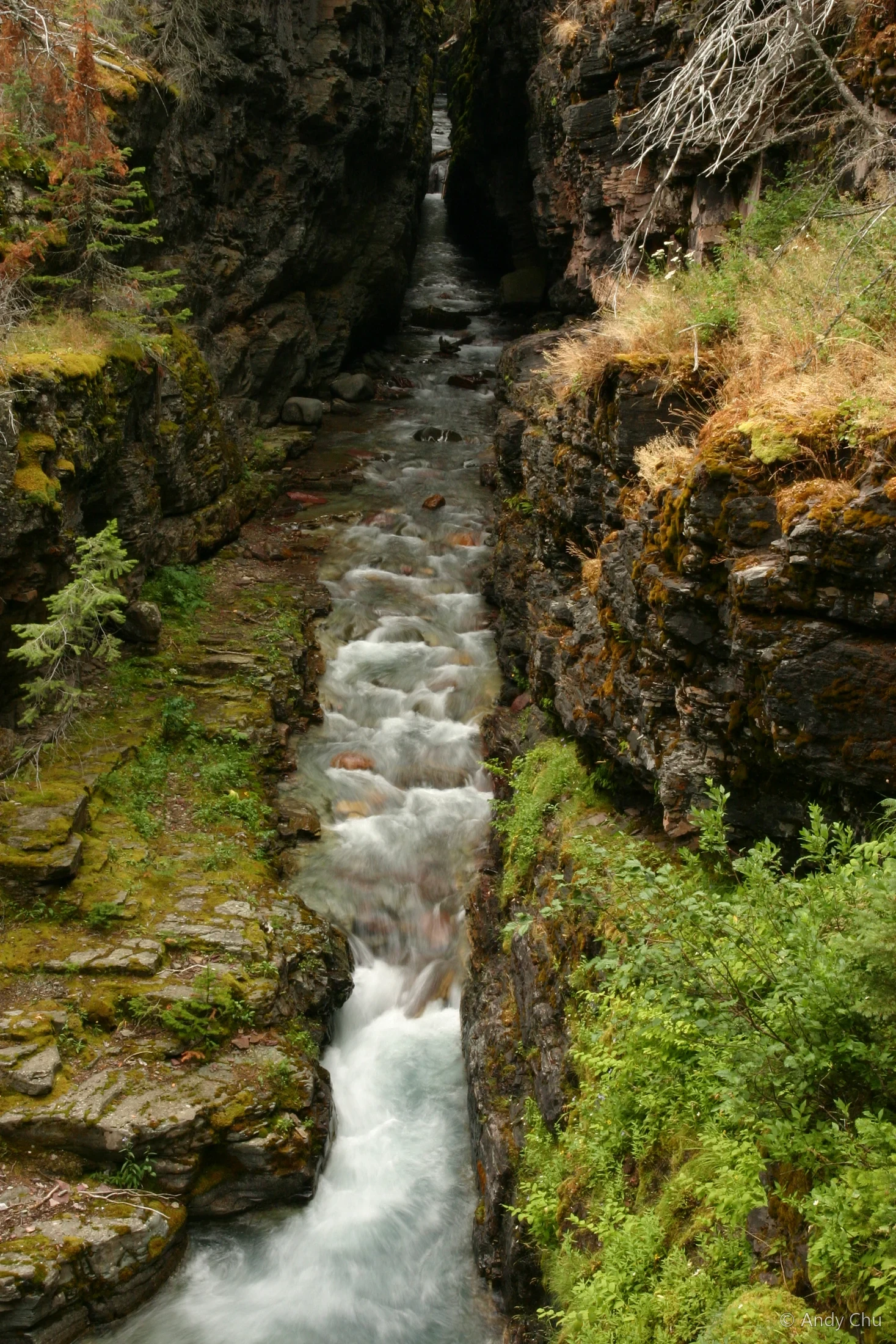 Stream running through a narrow mossy rock gorge