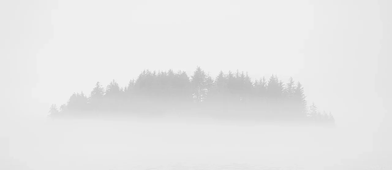 Black-and-white silhouette of a forested island emerging through mist