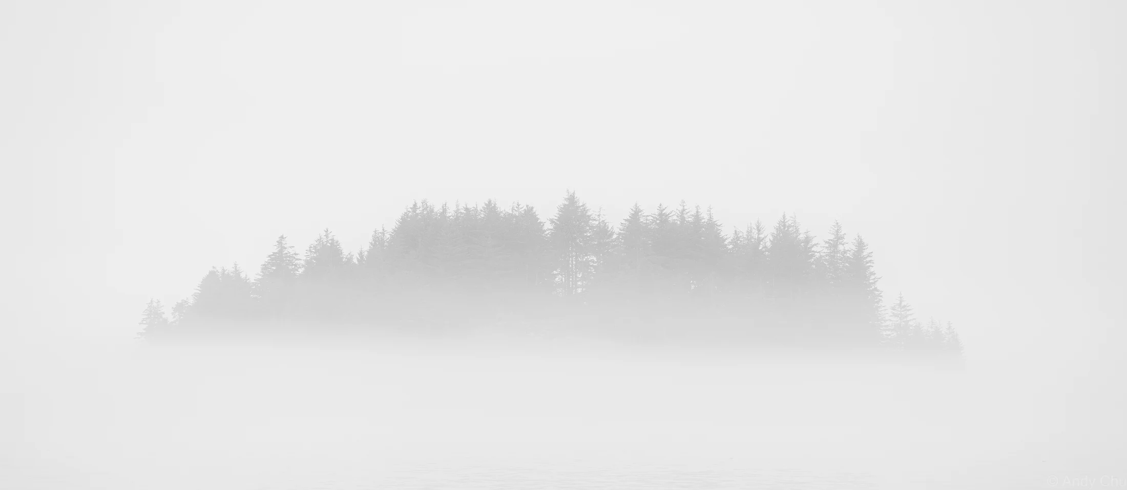 Black-and-white silhouette of a forested island emerging through mist